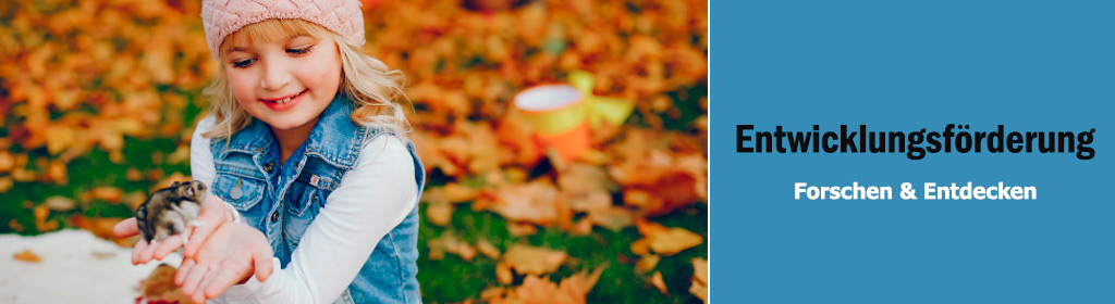 Forschen & Entdecken Banner
