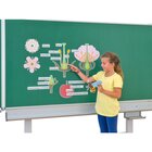 Die Kirschbl�te - Von der Bl�te bis zur Frucht, ab 5 Jahre