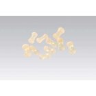 Kaukn�chelchen gro� (10 St�ck)