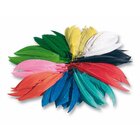 Indianerfedern, bunt gemischt, ca. 550 St�ck, ab 4 Jahre