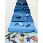 Tiere der Ozeane, Forscher-Set