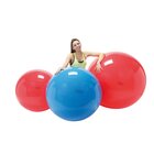 Gymnic Physio - Gymnic 120 cm, rot