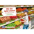 Kamishibai Bildkartenset - Wie der Apfel w�chst. Von der Bl�te bis zur Frucht Bildkartenset