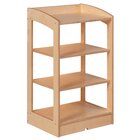 Geometrie- / Biologieschrank ohne R�ckwand