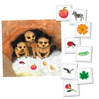 Erdm�nnchen-Blitzblick-Memo, 6-8 Jahre