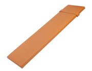 Sport Thieme Schr�gbrett f�r Sprossenw�nde bis 80 kg Belastung