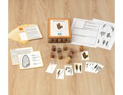 Die K�rnerkiste, Sachunterricht ab dem 3. Schuljahr