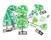 B�ume bestimmen leicht gemacht, ab 6 Jahre