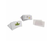 Botanischer Kartensatz Serie 3, ab 7 Jahre