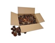 Kiefernzapfen-Set, 125 St�ck