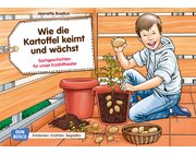 Kamishibai Bildkartenset - Wie die Kartoffel keimt und w�chst, 4-8 Jahre