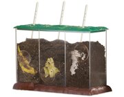 Transparenter Kompost-Beh�lter