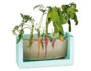 Wurzelsichthaus, Plexiglasbeh�lter inkl. Pflanzensamen und Erde