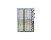 Belohnungssystem Bauernhof-Rennen, Magnettafel