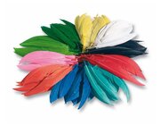 Indianerfedern, bunt gemischt, ca. 550 St�ck, ab 4 Jahre