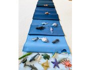 Tiere der Ozeane, Forscher-Set
