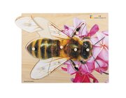 Holz-Puzzle Biene mit gro�en Griffen, ab 2 Jahre