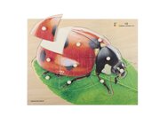 Holz-Puzzle Marienk�fer mit gro�en Griffen, ab 2 Jahre