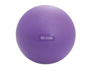 Multi Training Ball