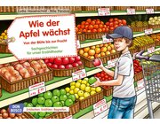 Kamishibai Bildkartenset - Wie der Apfel w�chst. Von der Bl�te bis zur Frucht Bildkartenset