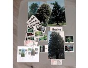 Outdoor-Set Laubb�ume