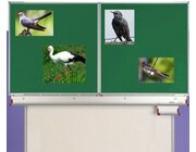 Zugv�gel, Magnetset, 24 Teile inkl. Arbeitsbl�tter