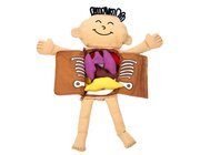 Forscher-Puppe Mein K�rper, Gr��e 47x50x7 cm, 9 Teile