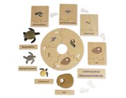 TimeTEX Lebenszyklus einer Schildkr�te, Lernspiel in Holzbox