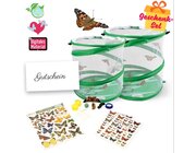 Zuchtset Schmetterlinge, Gutschein-Set, gro�, 12 Teile