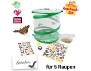Zuchtset Schmetterlinge, Gutschein-Set, kompakt, 8 Teile