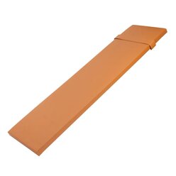 Sport Thieme Schr�gbrett f�r Sprossenw�nde bis 80 kg Belastung