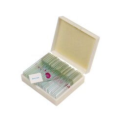 Pr�parate-Set in praktischer Sortierbox (Pr�paratbezeichnungen auf Englisch)