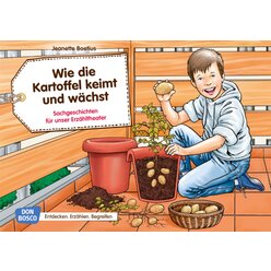 Kamishibai Bildkartenset - Wie die Kartoffel keimt und w�chst, 4-8 Jahre