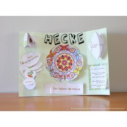 Lebensraum-Lapbooks f�r den Sachunterricht