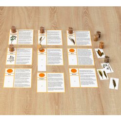 Die K�rnerkiste, Sachunterricht ab dem 3. Schuljahr