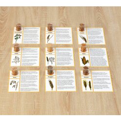 Die K�rnerkiste, Sachunterricht ab dem 3. Schuljahr