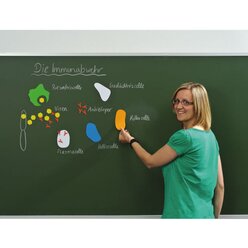 Magnetfolien Set (7 St�ck) Format DIN A4