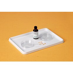 Handliches Experimentiertablett, 33,2 x 24,5 cm