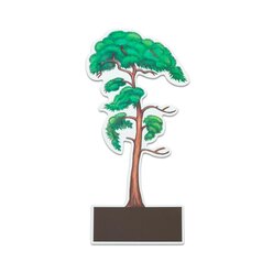 B�ume bestimmen leicht gemacht, ab 6 Jahre