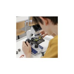 Binokulares Mikroskop Bin-Top 02