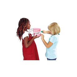 Zahnputz-Modell aus Kunststoff mit B�rste, ab 3 Jahre