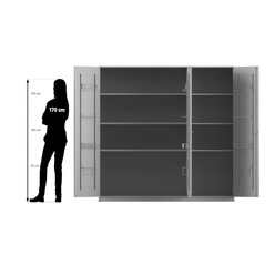 Flexeo Musikschrank, Buche hell, HxBxT�190 x�190,5 x 60 cm, Bogengriff mit Schloss