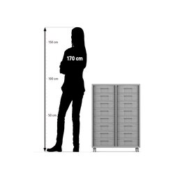 Flexeo� Materialregal Buche hell, HxBxT: 92,3x66,5x40,8 cm, 2 Reihen, 16 kleine Boxen, Boxenfarbe transparent, Rollen