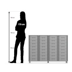 Flexeo� Regal Buche hell, 4 Reihen, 32 kleine Boxen, bunt, Rollen