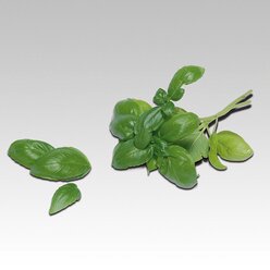 Fotokarten Lebensmittel Genussmittel und Getr�nke