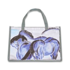 Set mit 2 Kunststofftaschen mit Einschub, f�r DIN3