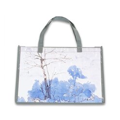 Set mit 2 Kunststofftaschen mit Einschub, f�r DIN3