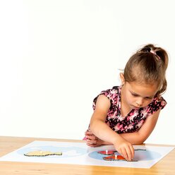 Montessori Puzzlekarte Erdteile, ab 5 Jahre