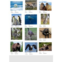 Zuordnungsteppich Kinder der Welt mit Kartensatz Outdoor