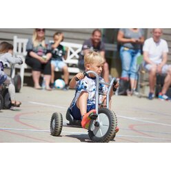 VIKING EXPLORER OFF-ROAD Easy Rider, ab 3 Jahre